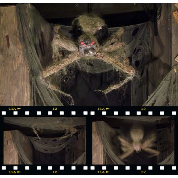 Spider Drop and lunge - SD727