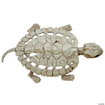 Turtle Skeleton Decoration