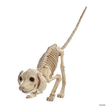 7 1/2" X 4 3/4" Standing Puppy Plastic Skeleton