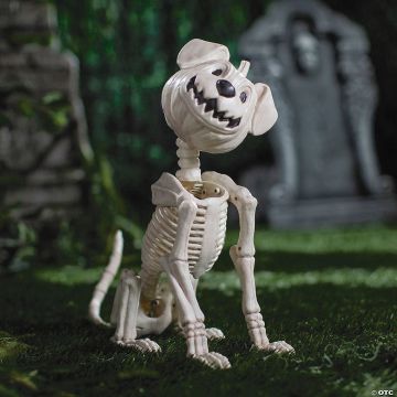 24 1/4" Sitting Pumpkin-head Dog Skeleton Halloween Decoration