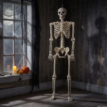 5 Ft. Hanging Multi Pose-n-stay Life-size Skeleton