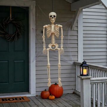 36" Hanging Multi Pose-n-stay Skeleton