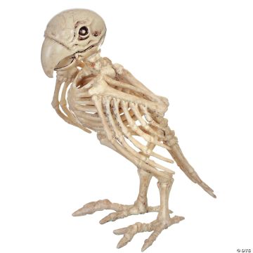Skeleton Parrot Prop