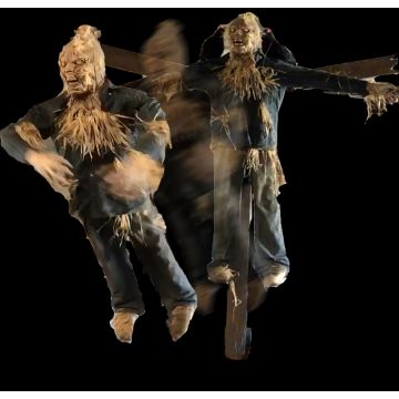 Scarecrow Flyer 2.0 - SF1329