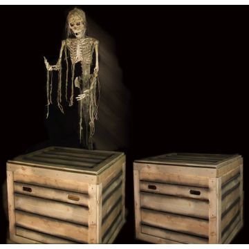 SKELLY LUNGER - SL503