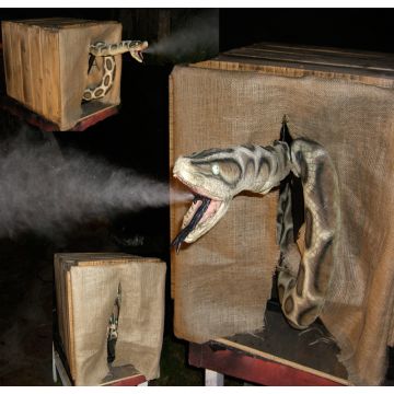 Snake In A Crate - SN102