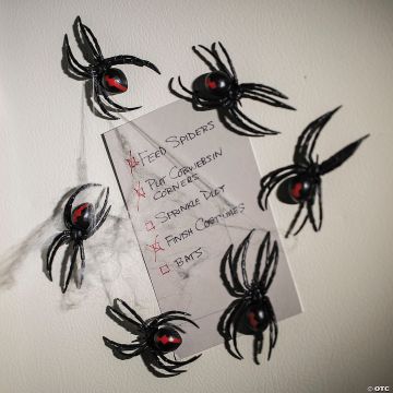 3 1/2" Magnetic Black Widow Spiders - 12 Pc.