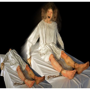 Table Screamer - TS812