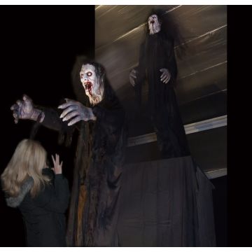 VAMPIRE DESCENDER - VD619