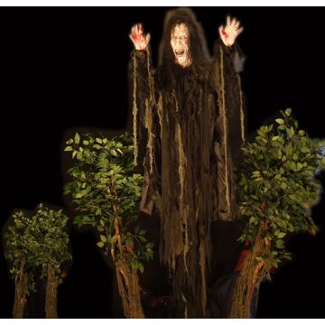 Witch Tree Lunger - WBL701