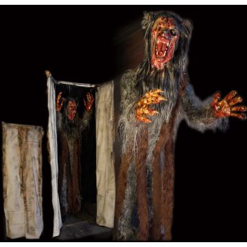 Werewolf curtain lunger - WC618