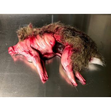 Animal Prop Skinned Rabbit With Fur