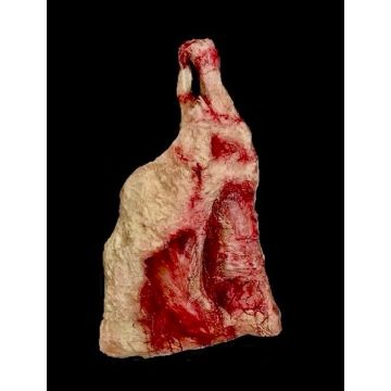Animal Prop Beef Hind Quarter- Exterior Side