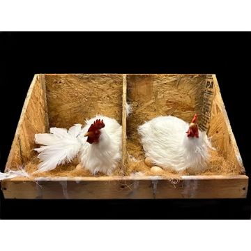 Animatronic Brooding Hens