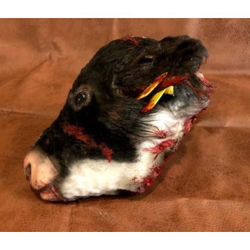 Animal Prop Calf Head