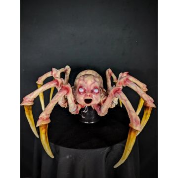 Demon Baby Spider