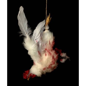 Animal Prop Dismembered Chicken