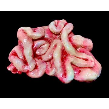 Gore Body Part Entrail Pile