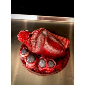 Animal Prop Beef Heart