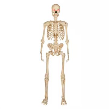 5 Foot LED Ultra Pose-N-Stay Skeleton