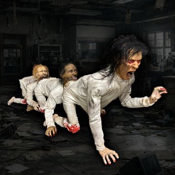 Human centipede
