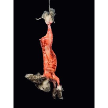 Animal Prop Hanging Skinned Rabbit with Fur
