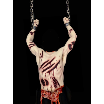 CX Simply Shredded Half Body Photo Op