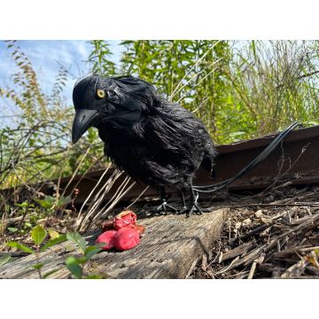 Pecking Crow (Pneumatic)