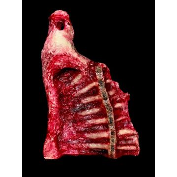 Animal Prop Beef Hind Quarter- Interior Side