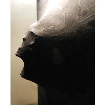 Living Wall Material