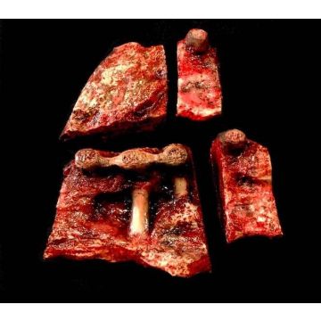 Animal Prop Beef Meat Cuts