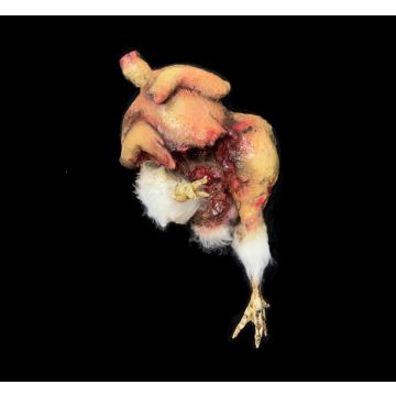 Animal Prop Putrid Chicken