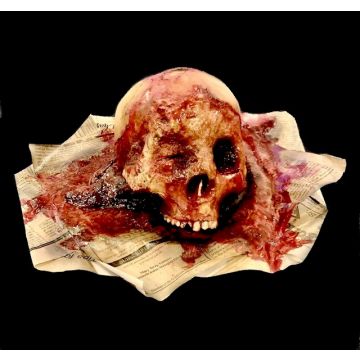 Rotted Skull on Paper