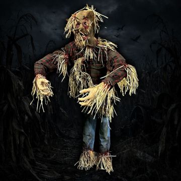 Scarecrow Reacher