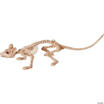 Mini Skeleton Rat