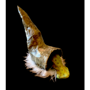 Gastropoda 238 Snail prop