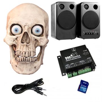 Three Axis Talking Skull Complete Package (1 Skull)