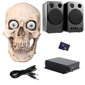 Three Axis Talking Skull Complete Package (1 Skull)