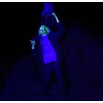 HitchHiking Ghosts - HG1313