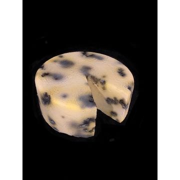 Faux Food Moldy Cheese Wheel