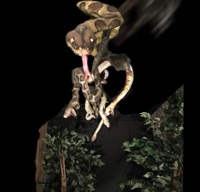 Snakes Drop - SD1129