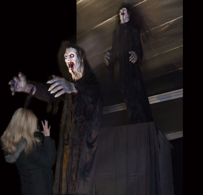 VAMPIRE DESCENDER - VD619