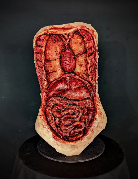 Autopsy Torso
