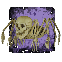 Skeletons & Skulls
