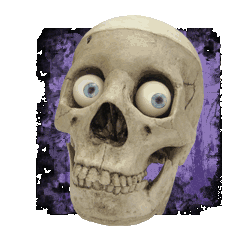 Talking Skeleton Halloween Prop Animated Skull Sounds Haunted House Decoration 