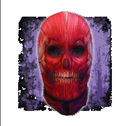Stretch Masks 