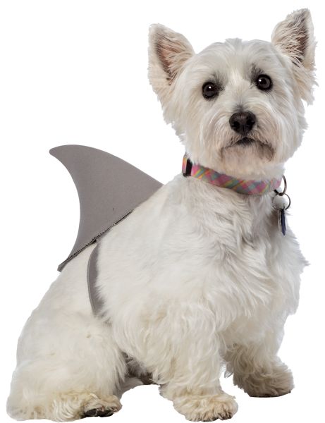 Puppy shark costume sale