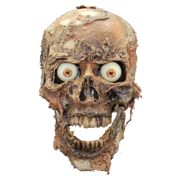 Three Axis Talking Skull