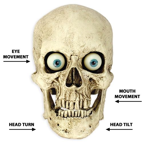 Three Axis Talking Skull