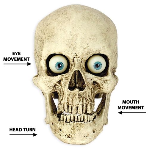talking_skull_head_turn.jpg